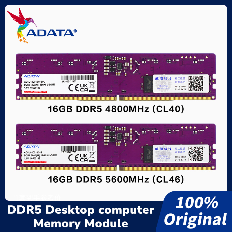ADATA DDR5 288 พิน DIMM DRAM โ - Ddr5 4800Mhz บทวิจารณ์และราคา