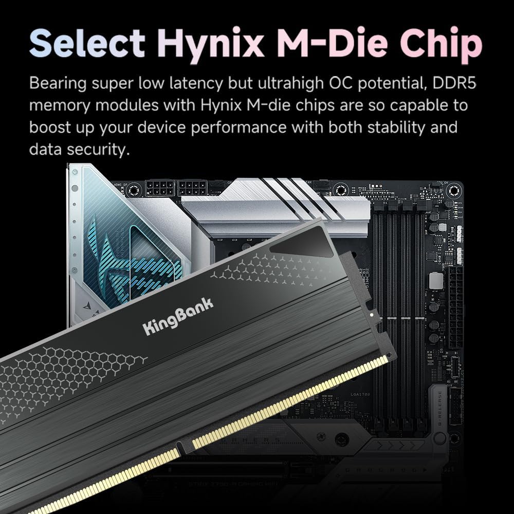 คิงแบงค์ DDR5 KFXB หน่วยความจำ - Ddr5 Kit บทวิจารณ์และราคา
